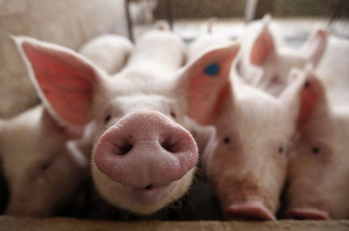 294be4361c0722237298d4c95c53b477_1448272264.png QQ截图20151123174529.png