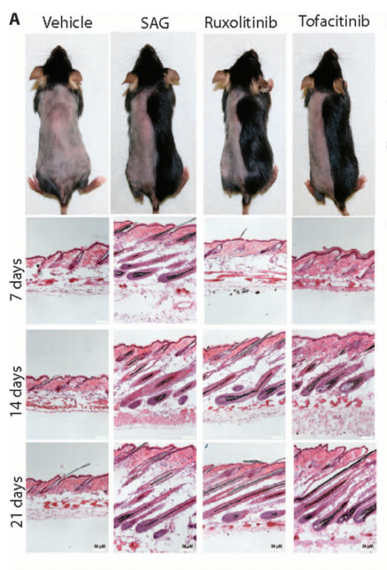 bdff884b0bb7b8d8d71b292a0294702f_1446524063.png QQ截图20151103115331.png