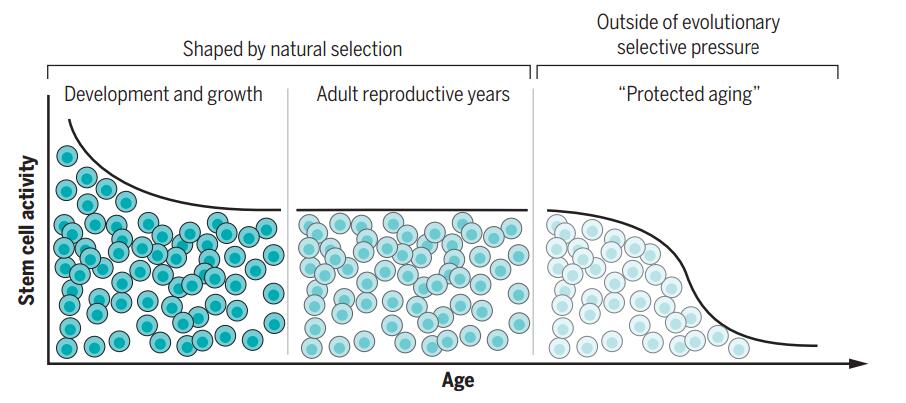 f861934bbf70e221db2992408cdf55b6_1451369467.jpg QQ截图20151229141032.jpg